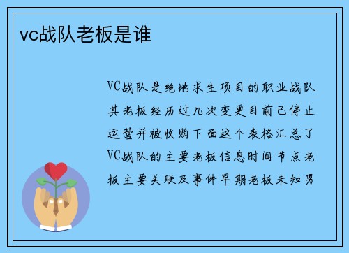 vc战队老板是谁